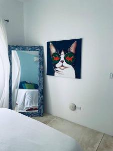 佩达西镇Casa de la Amor Casita的镜子旁墙上的猫的照片