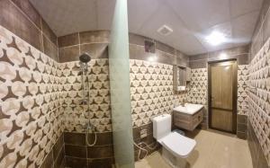 瓦迪拉姆White Desert Camp的浴室配有卫生间、淋浴和盥洗盆。