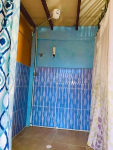 马尼萨莱斯El eden的一间设有蓝色墙壁和淋浴的客房