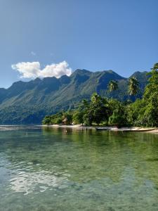 MasohiSing Key Beach的一片树木和山 ⁇ 的水域