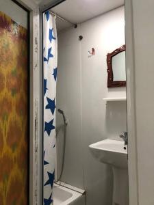 布哈拉Khan Rooms的浴室配有淋浴帘和盥洗盆。