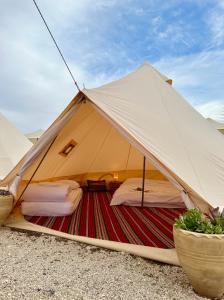 米茨佩·拉蒙KARMEI NEGEV - מתחם גלמפינג ואטרקציות מבית גלובל גלמפינג的帐篷,配有两张床和两盆植物