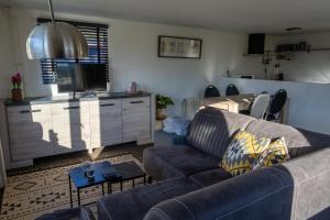 安卢Luxe Chalet Strubben-Kniphorstbos Anloo的带沙发的客厅和厨房