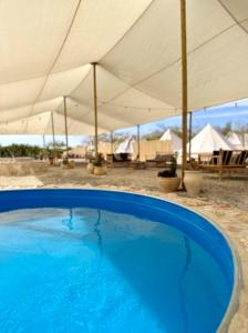 米茨佩·拉蒙KARMEI NEGEV - מתחם גלמפינג ואטרקציות מבית גלובל גלמפינג的一个带白色遮阳伞的大型蓝色游泳池