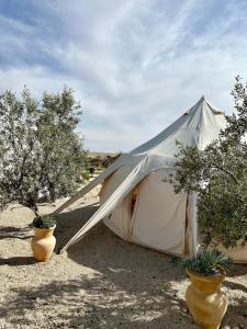 米茨佩·拉蒙KARMEI NEGEV - מתחם גלמפינג ואטרקציות מבית גלובל גלמפינג的田野上的帐篷,两瓶