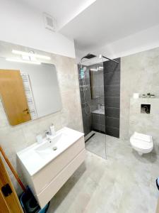 锡纳亚Cosy&Minimalistic Apartments - Haret Building的一间带水槽、卫生间和淋浴的浴室