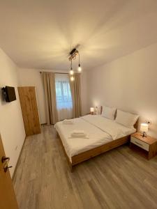 锡纳亚Cosy&Minimalistic Apartments - Haret Building的一间卧室配有一张大床和两盏灯。