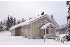 塔库沃里Rivitalon lomahuoneisto Tahkolla的雪中带雪盖屋顶的房子