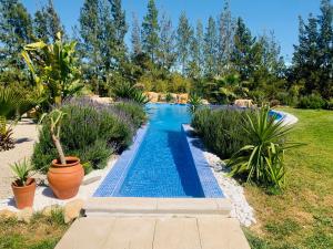 Mem MonizQuinta oriana的植物庭院中的游泳池