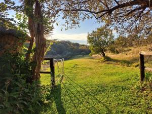 马加利斯堡Stone Meadows Country Estate-NV51的树旁田野的围栏