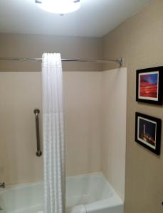 伊利Comfort Inn, Erie - Near Presque Isle的一间带白色淋浴帘的浴室