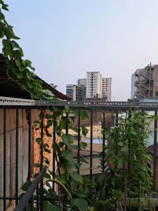 胡志明市Homestay 37 AD的享有海滩和建筑景致的阳台