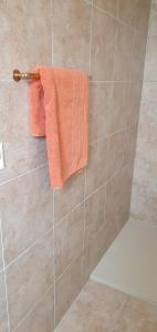 SavièseL'Aurosée的淋浴墙上挂着的橙色毛巾
