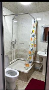 布哈拉Orzu Guest House的带淋浴、卫生间和盥洗盆的浴室