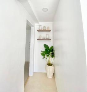 SudtunganNEW Modern Suite near Airport & Beach的花瓶里种植植物的白色走廊