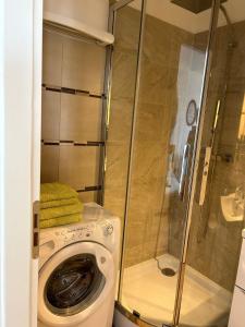 尼斯尼斯皇冠公寓的一间带洗衣机和淋浴的浴室