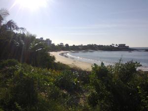 瓜拉派瑞Pousada Enseada do Coqueiro的享有棕榈树海滩和大海的景色