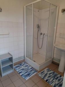 Nempont-Saint-FirminLe Presbytère de la côte d'opale的浴室设有淋浴、两个地毯和水槽
