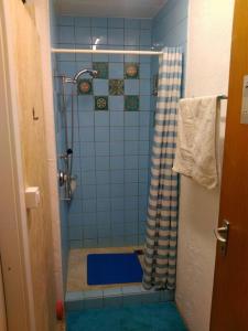 Evilard*Crystal Room: For you,friends, family or darling*的蓝色瓷砖浴室设有蓝色地板和淋浴