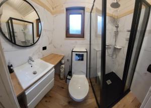 博尔斯克Dzik w zagrodzie的浴室配有卫生间、盥洗盆和淋浴。