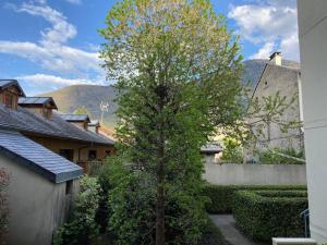 巴涅尔-德吕雄Appartement jusqu'à 4 personnes的建筑物旁院子中的一棵树
