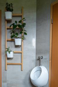 布莱德Guest house TOMAN的浴室设有两个植物架和一个小便室