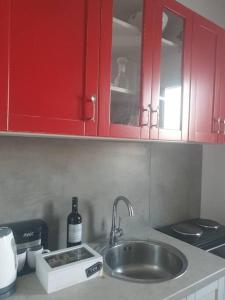 加里尼Anna's Cottage Home的一个带水槽和红色橱柜的厨房台面