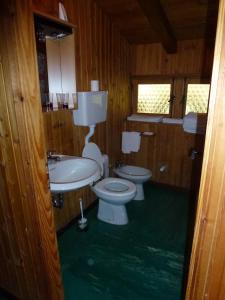 库马约尔Il Refuge CIR 119的一间带卫生间和水槽的浴室
