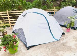 大吉岭Yumasham Camping的两个帐篷位于一些植物旁边