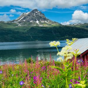 GratangenNorwegian Dream的山地,前方有湖泊和鲜花