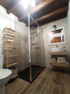 坎加斯-德奥尼斯Aromas de Coraín的一间带玻璃淋浴和水槽的浴室