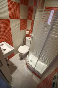 马德里福斯特旅馆的带淋浴、卫生间和盥洗盆的浴室