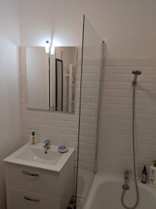 基扬古尔Appartement SQY的一间带水槽和淋浴的浴室