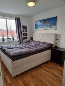 斯特伦斯塔德Trevlig lägenhet nära Strömstad centrum的一间卧室,卧室内配有一张大床
