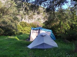 VunoGjipe Eco Campground的坐在草地上的帐篷,靠近田野