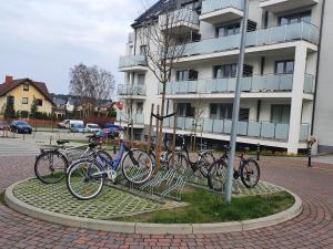 斯维诺乌伊希切Apartament Pastelowy的停在大楼前的一群自行车