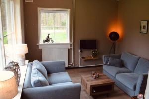 奥多恩‘t Bosrandje的客厅配有2张蓝色沙发和电视