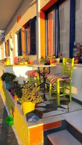 帕罗奇亚Viva Margarita的庭院配有桌椅和植物