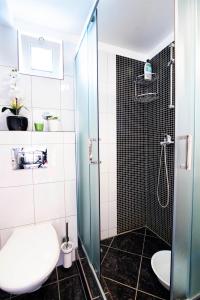 斯普利特卡Apartman NONO的带淋浴、卫生间和盥洗盆的浴室