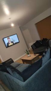 MoneymoreMeadow View的客厅配有蓝色的沙发和电视
