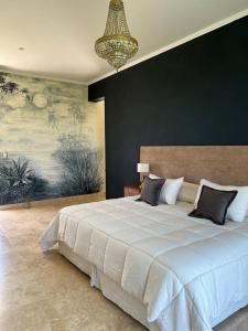 科洛尼亚卡洛斯佩莱格里尼Casimiro Ibera Hotel Boutique的卧室配有一张带吊灯的大型白色床。