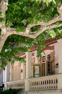 雷穆兰Soko Hotels-Pont du Gard的前面有棵树的建筑
