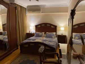 开罗Sunny 2BR Apartment in Maadi的一间卧室配有一张床和镜子