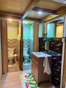 Mano JuanCasa Mano Juan的一间带水槽、卫生间和镜子的浴室