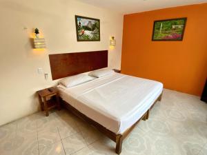 坎佩切AMBAR Rooms的卧室内的一张床位,卧室内拥有橙色的墙壁