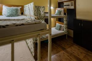 新德里AmigosIndia的宿舍间内带两张双层床的客房