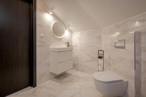 克莱佩达Guest Villa Klaipeda的一间带卫生间、水槽和镜子的浴室