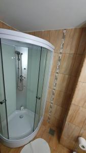 德罗贝塔-塞维林堡Guest House Bulevard的带淋浴的浴室和玻璃墙