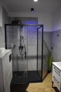 别尔斯克-比亚拉Apartamenty Beskid House的浴室内配有带黑色卫生间的淋浴