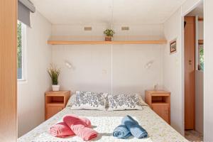 马里纳·迪·比萨Oasis on the river 2的一间卧室配有一张床,上面有两条毛巾